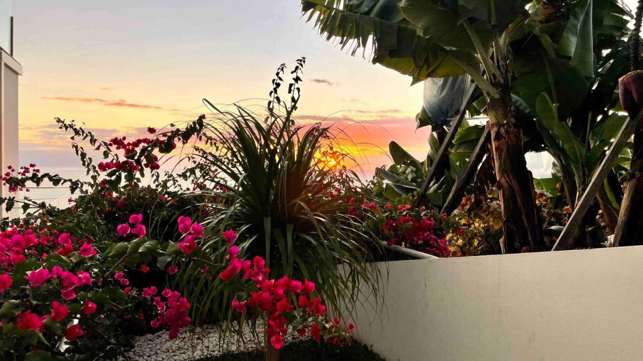 Holiday Apartment Sunset Ocean Ribeira Brava Extérieur photo